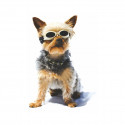 Okulary ochronne dla zwierząt Doggles