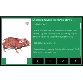 Laser wysokoenergetyczny POLARIS HP VET