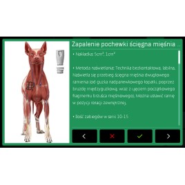 Laser wysokoenergetyczny POLARIS HP VET