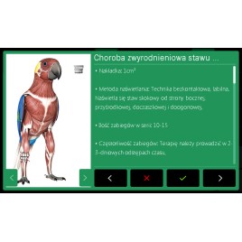 Laser wysokoenergetyczny POLARIS HP VET