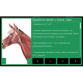 Laser wysokoenergetyczny POLARIS HP VET