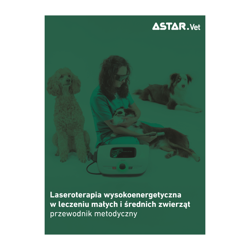 Przewodnik metodyczny: Laseroterapia wysokoenergetyczna w leczeniu małych i średnich zwierząt
